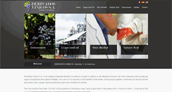 Desktop Screenshot of derivados-vinicos.com